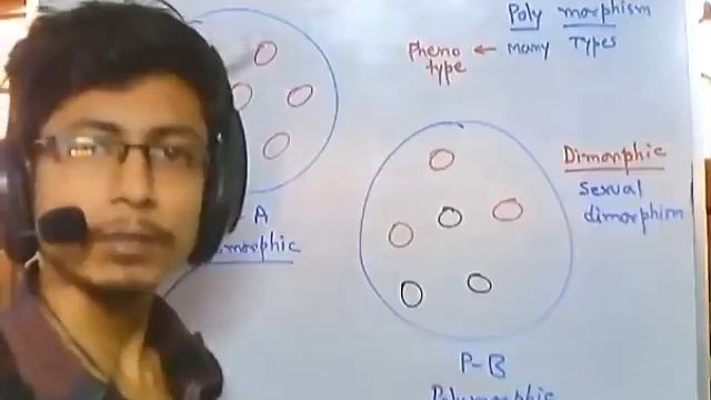 What is polymorphism смотреть онлайн