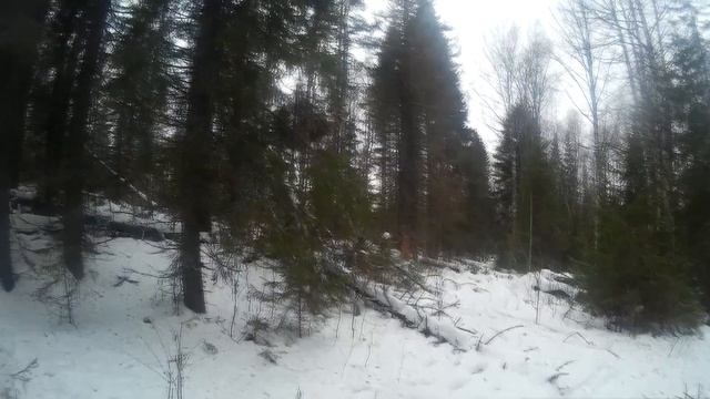 Охот на копытных#2 смотреть онлайн