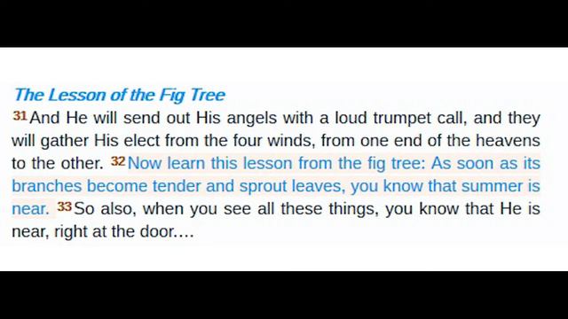 The Book of Revelation - Chapter 6 part 6 - The 7 seals: Rapture/The Hour of Trial - series video 1 смотреть онлайн