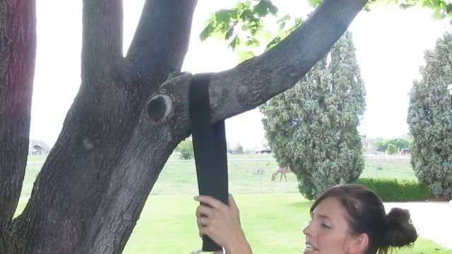Using a Tree Swing Hanging Strap Option #1 смотреть онлайн