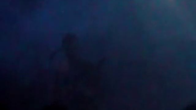 Darkspace Live I смотреть онлайн