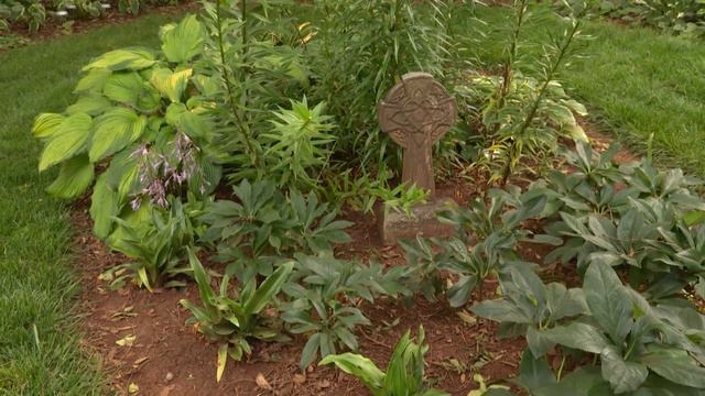 A Backyard Space: from bare to a Beautiful Landscape | Volunteer Gardener смотреть онлайн