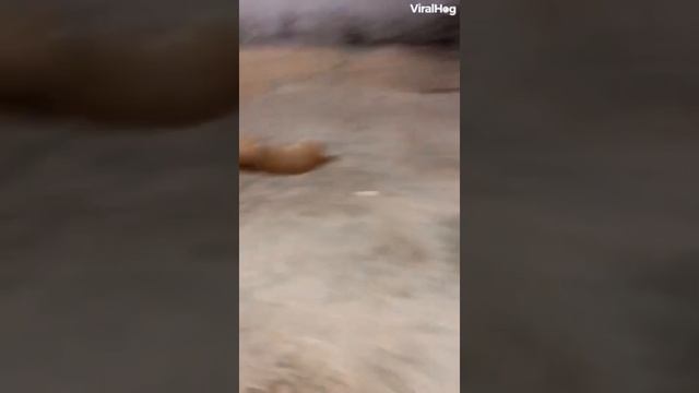 Когда ты бухая в караоке) смотреть онлайн
