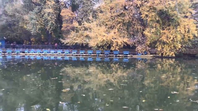 Умань софийский парк смотреть онлайн