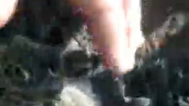 Кто сказал, что зайцы трусы?.3gp смотреть онлайн