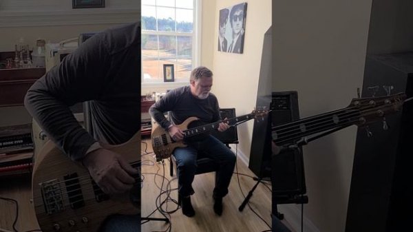 Review: Gstyle 5 string fretless bass