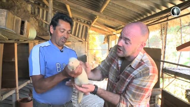 Планета собак. Поденко канарио смотреть онлайн