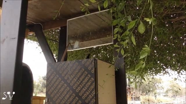 Fights without rules. Blackbird (Бои без правил. Чёрный дрозд ) смотреть онлайн