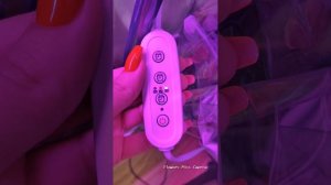 Таймен включения выключения на фитолампах.