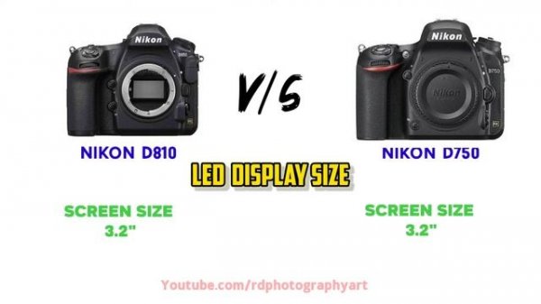 Nikon D810 vs Nikon D750 Comparison | Which Camera best 2021?