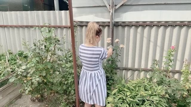 ДЕЛА ОГОРОДНИЕ. МОТИВАЦИЯ НА УБОРКУ. ОТВЕТЫ НА ВОПРОСЫ. смотреть онлайн