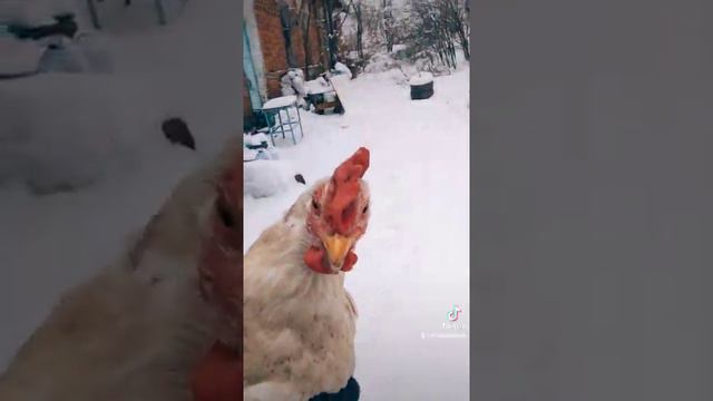 зачем мне солнце в Монако смотреть онлайн