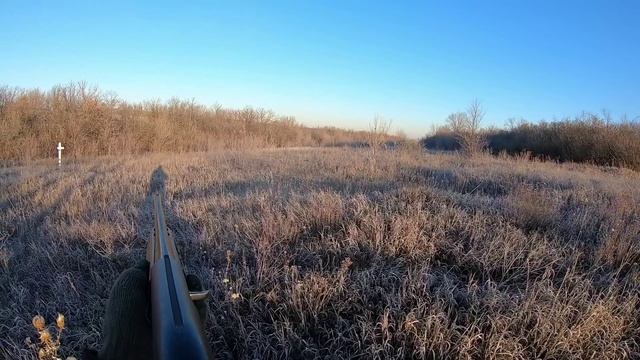 Охота на косулю Самарская область Без нервов.mp4 смотреть онлайн