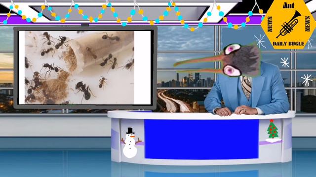 Ant News #2 в честь более чем 300 подписчиков смотреть онлайн