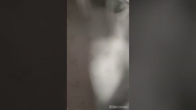 Кейс-пилот 100% поликарбонат. смотреть онлайн