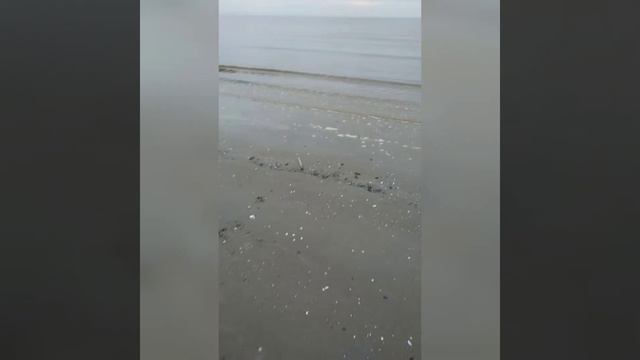 Родное Белое море...!🌊 смотреть онлайн
