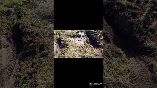 джили мк, жизнь и боль смотреть онлайн
