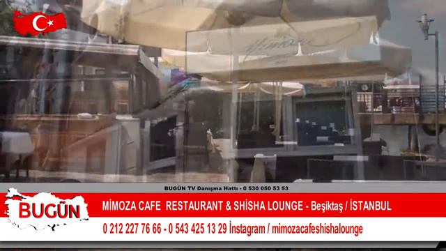 MİMOZA CAFE & SHISHA LOUNGE смотреть онлайн
