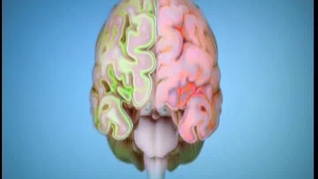 Почему мужчины и женщины видят мир по-разному? смотреть онлайн