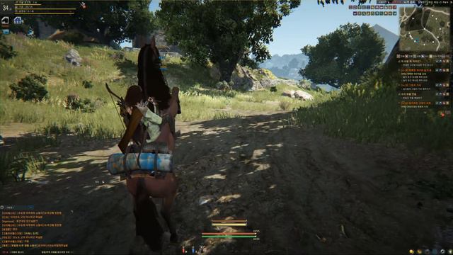 Black Desert Online - Moonwalking horses смотреть онлайн