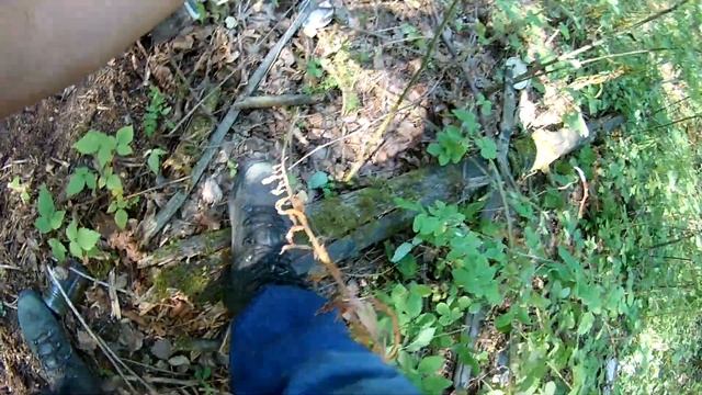 Мусорный сталк (добиваю секретную свалку и клад на обочине). Часть II. смотреть онлайн