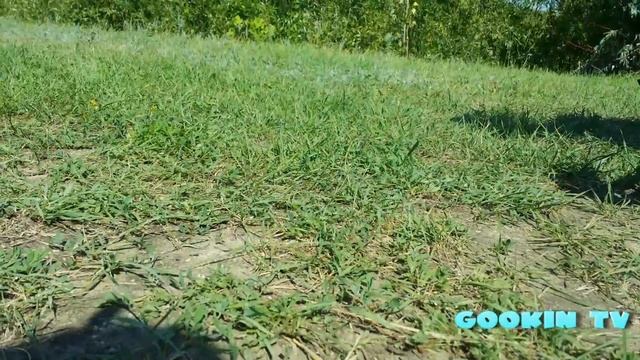 Распаковка машинки /трактор/ играем с машинкой на природе/ для детей/ игрушки Bruder смотреть онлайн