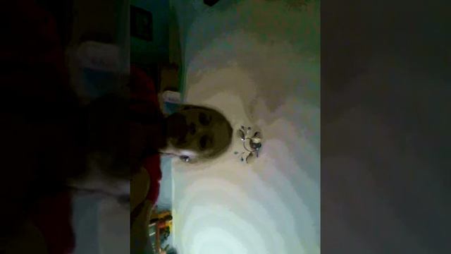 Я впервые говорю серьезно смотреть онлайн