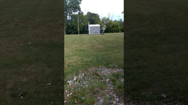 Backyard football with pads 9&10 смотреть онлайн