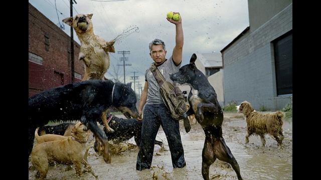 Que es MVC en Programación [Asi o mas facil] ? смотреть онлайн