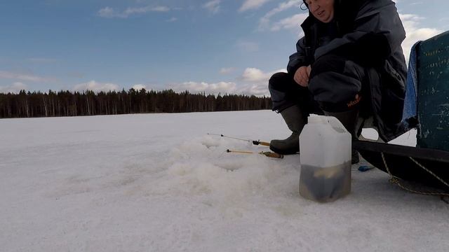 Зимняя рыбалка на Слободском.Закрытие.Часть№2.2.05.2020. смотреть онлайн