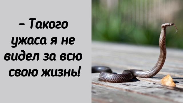 ЗЛОЙ ДУХ В ВИДЕ ЗМЕЯ ПОПОЛЗ НА СЛУЖИТЕЛЯ! ПРИМЕР ВЕЛИКОЙ СИЛЫ БОГА! смотреть онлайн