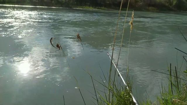 Лепсинск 2020 смотреть онлайн