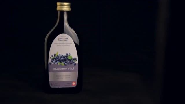 Имидж презентация VIVASAN Часть 1 – Возможности компании VIVASAN