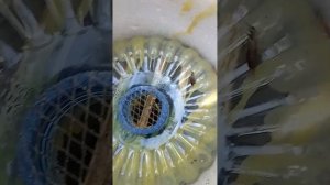 По ульям адвоката Егорова. Бутылочное пчеловодство. часть 1