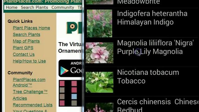 Search Plants by Color with PlantPlaces.com Mobile App for Android(TM) смотреть онлайн