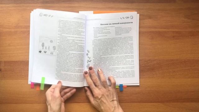 ИГРЫ С ДЕТЬМИ ВТОРОГО ГОДА ЖИЗНИ. Игры в кубики и аппликация; Игры с тестом и с красками.2449 2456 смотреть онлайн