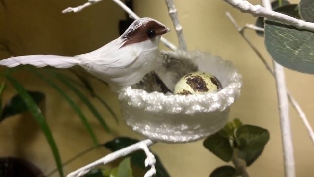 Скворечник! Идеи к Пасхе! Идеи весеннего декора!/Spring decor. Birdhouse смотреть онлайн