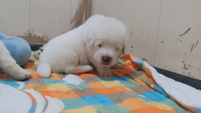 Нам 17 дней и мы уже болтаем друг с другом! смотреть онлайн