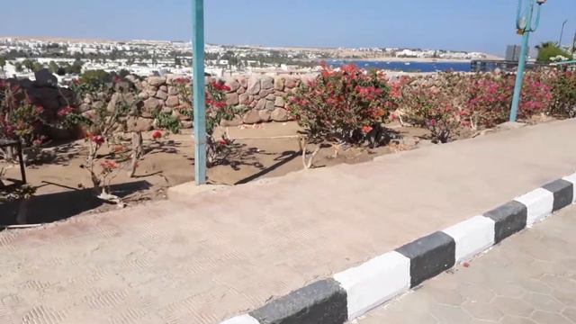 Sharm Cliff Resort Na'ama Bay View | Шарм Клифф, вид на залив Наама | 2020 #SharmElSheikh