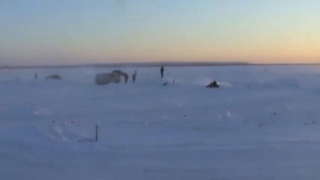 лабытнанги 11.01.2014 взрослые 1 заед смотреть онлайн