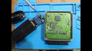 SsangYong Kyron  не заводится