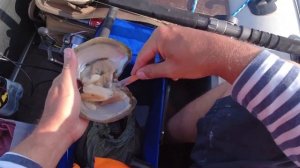 Учусь ловить сома на квок. Первые шаги, ошибки выводы... Мой видеодневник.