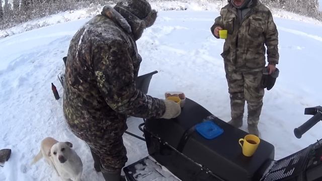 Глухозимье отменяется. Мормышка не успевает опуститься на дно.
