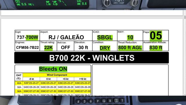 Inserindo a Performance - Boeing 737NG [PT-BR] смотреть онлайн