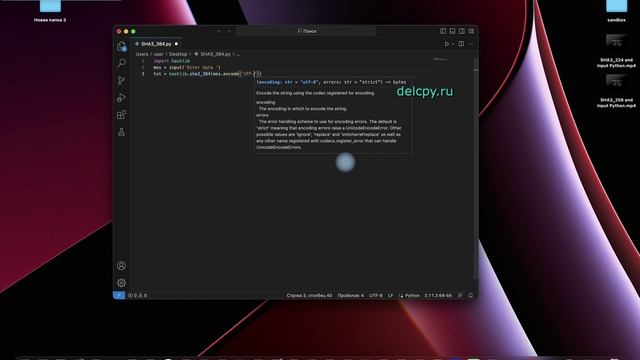 SHA3_384 and input Python смотреть онлайн