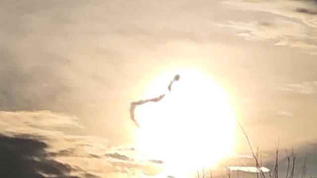 UFO Captured falling out of the sky! смотреть онлайн