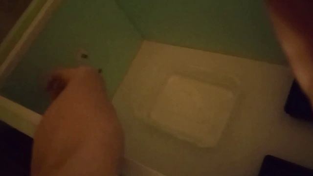 ? А у нас новенькие перепелята | ЖИЗНЬ ПЕРЕПЁЛОК В ГАРАЖЕ смотреть онлайн