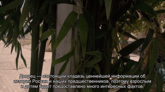 Об Екатерининском дворце в Царском селе: цена билета, расписание Большого дворца смотреть онлайн