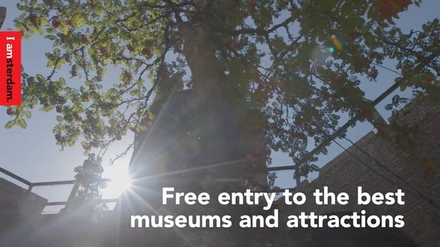 Learn more about the Amsterdam City Card and Amsterdam & Region Travel Ticket | I amsterdam смотреть онлайн