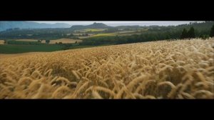 Можно ли ЗАПУСТИТЬ Forza Horizon 4 на ТЕЛЕФОНЕ Android/IOS?